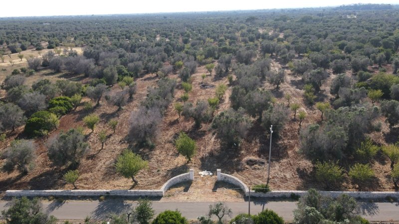 卡罗维尼奥建筑用地