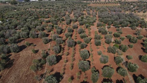 卡罗维尼奥建筑用地