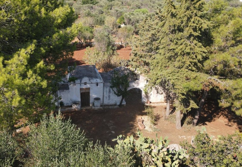 Ламия в Каровиньо