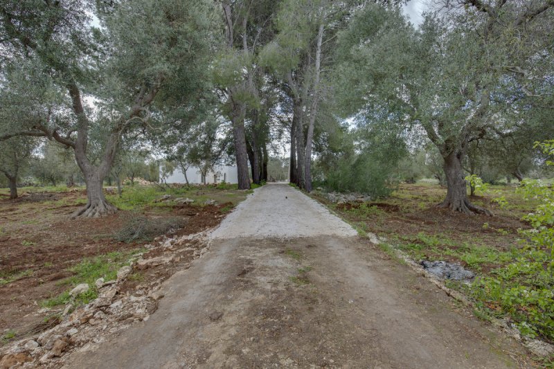 Вилла в Челье-Мессапика