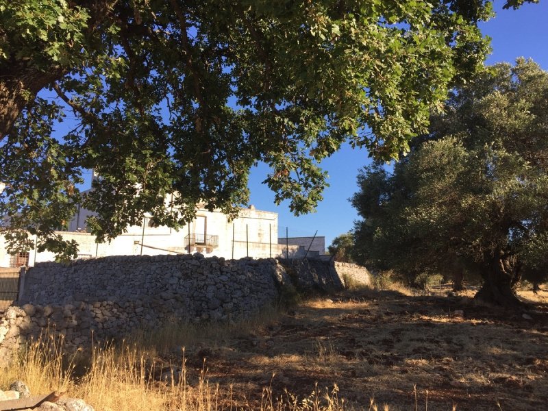 Quinta em Ostuni
