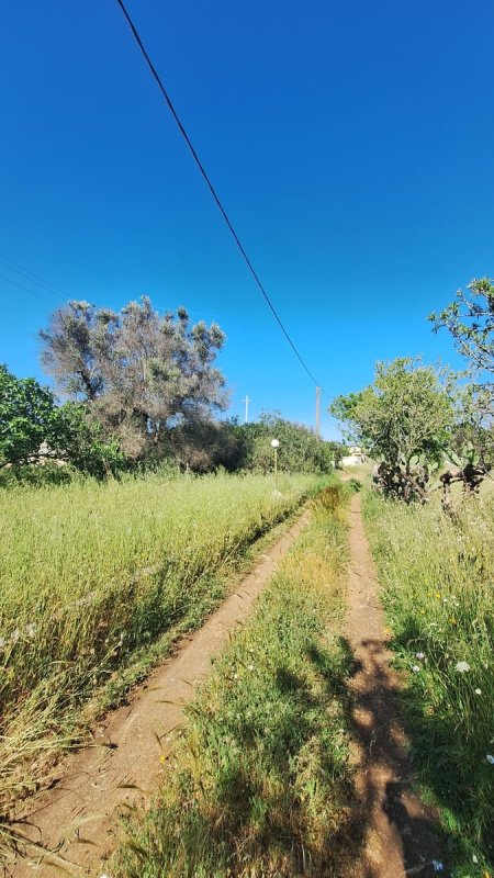 Moradia em San Vito dei Normanni