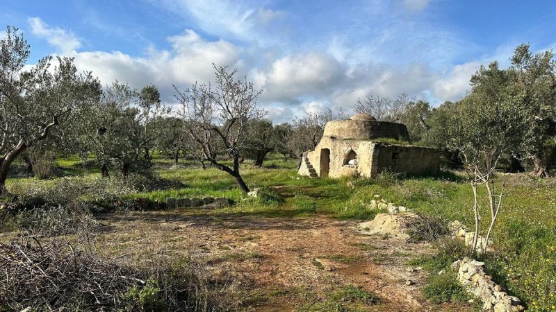 Trullo i Ostuni