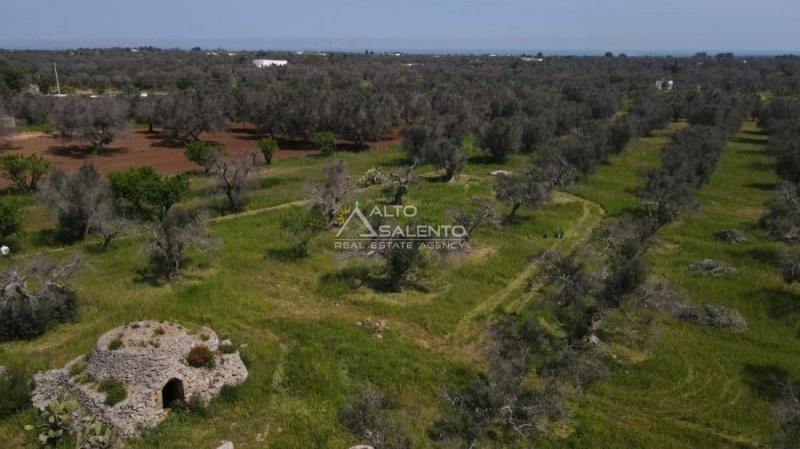 Trullo a Carovigno