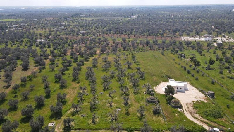 Trullo a Carovigno