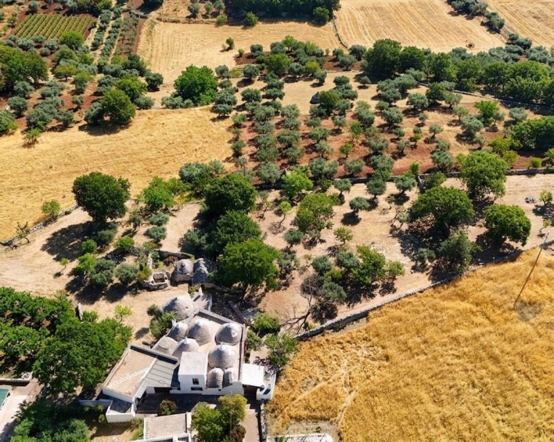 Trulli in Locorotondo