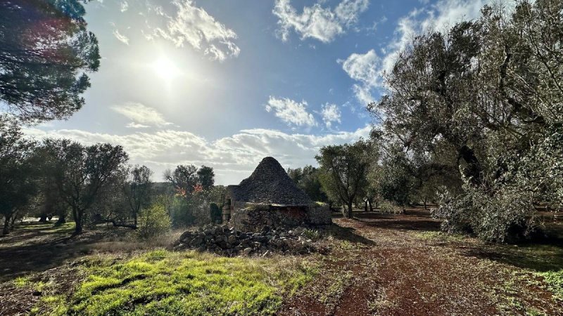 Trullo à Ostuni