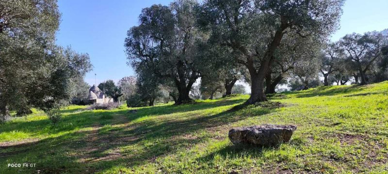 Trullo (Rundhaus) in Ceglie Messapica