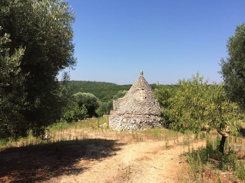 Trullo (Rundhaus) in Ceglie Messapica