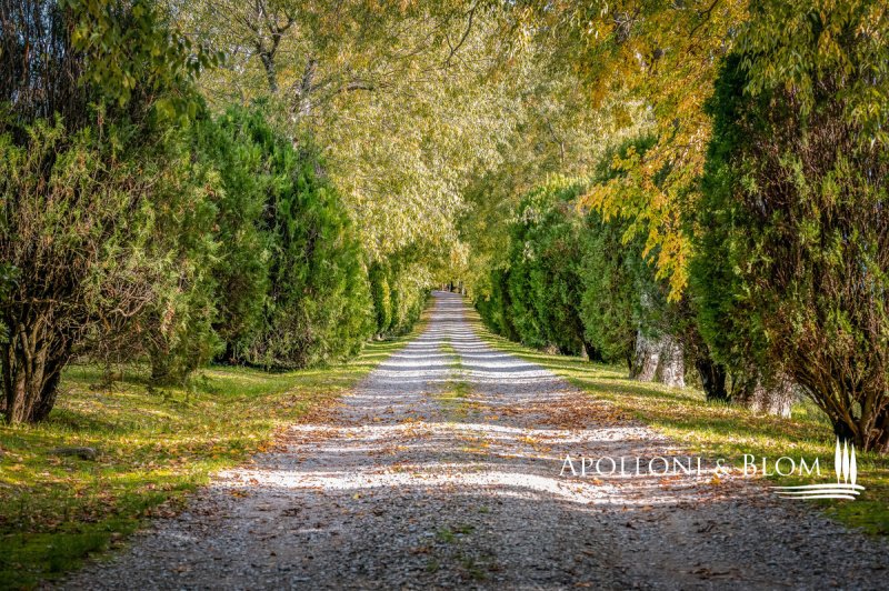Schloss in Castelfiorentino