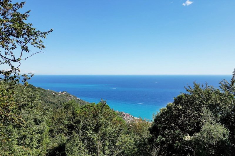 Вилла в Дзоальи