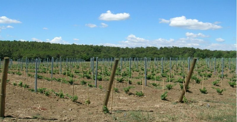 Maso (bergsstuga) i Castiglione del Lago
