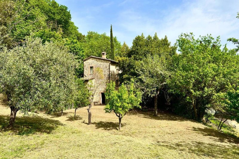 Detached house in Cetona