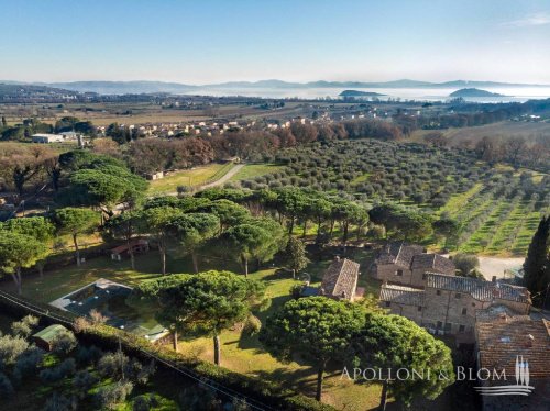 Lantställe i Tuoro sul Trasimeno