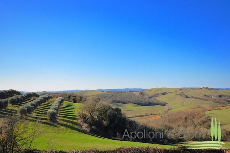 Lantställe i Asciano