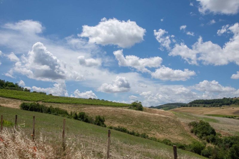 Klein huisje op het platteland in Scansano