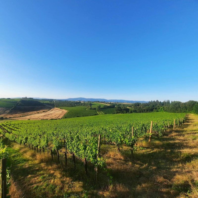 Quinta agrícola em Montepulciano