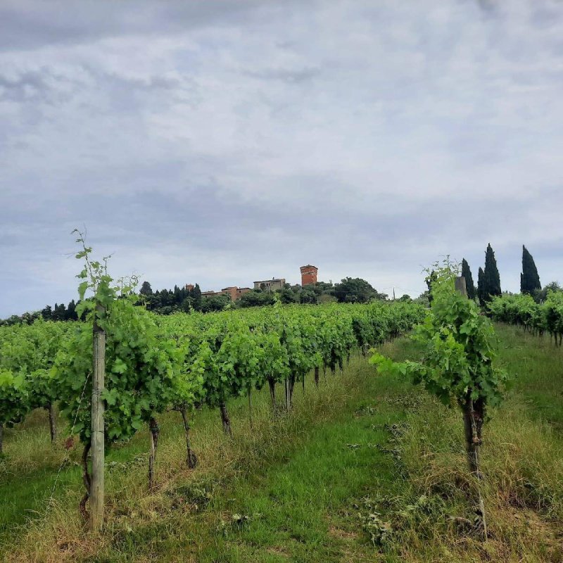 Quinta agrícola em Montepulciano