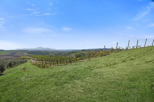 Farmhouse in Montalcino