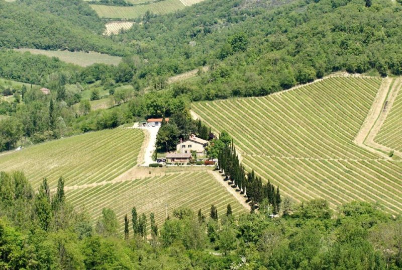 Lantställe i Gaiole in Chianti