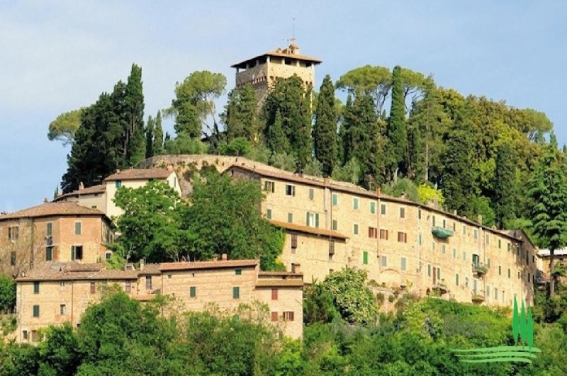 Bauernhaus in Cetona