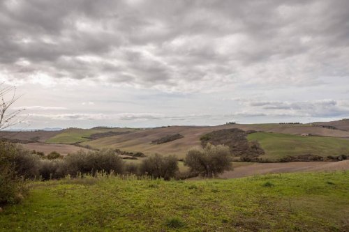 Lantställe i Pienza