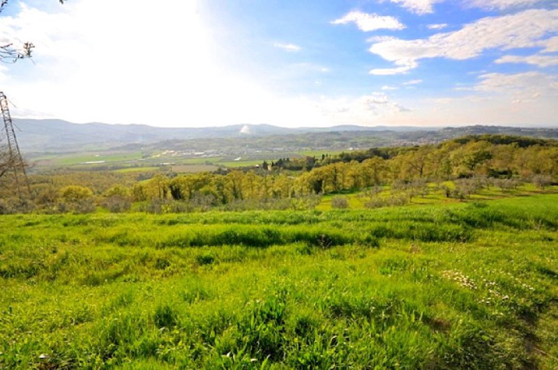 Lantställe i Città della Pieve