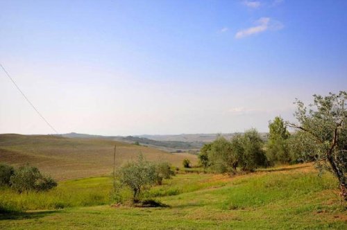 Lantställe i Pienza