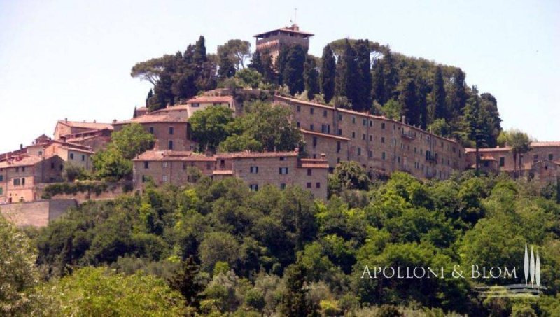 Farmhouse in Cetona