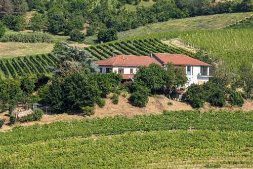 Azienda agricola a Nizza Monferrato