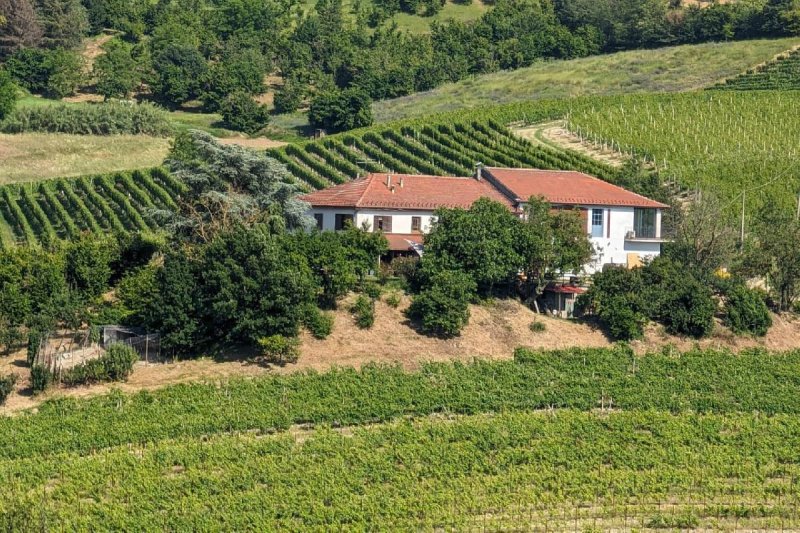 Farm in Nizza Monferrato