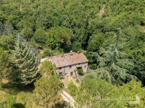 Bauernhaus in Radda in Chianti