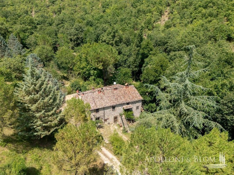 Lantställe i Radda in Chianti