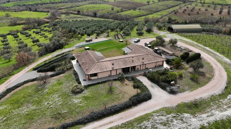 Azienda agricola a Orbetello