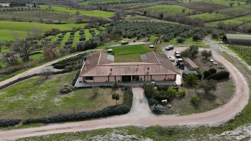 Lantgård i Orbetello