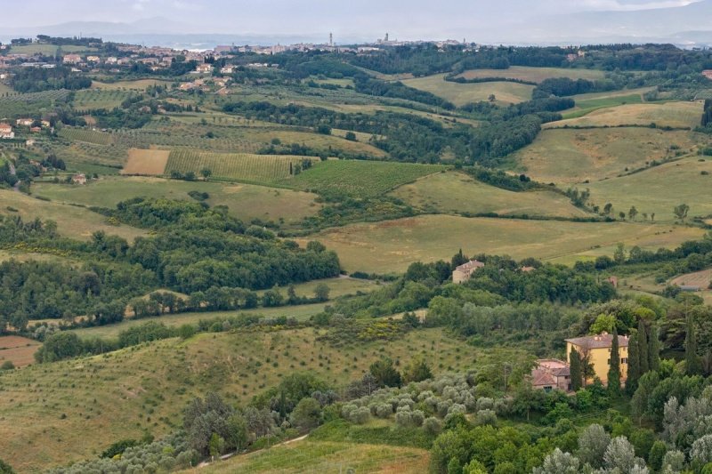 Maso a Monteriggioni