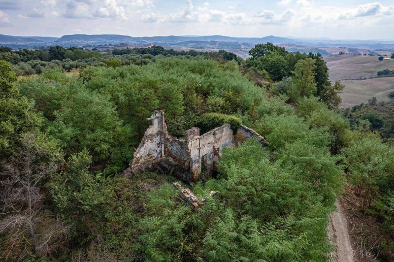 Farmhouse in Asciano