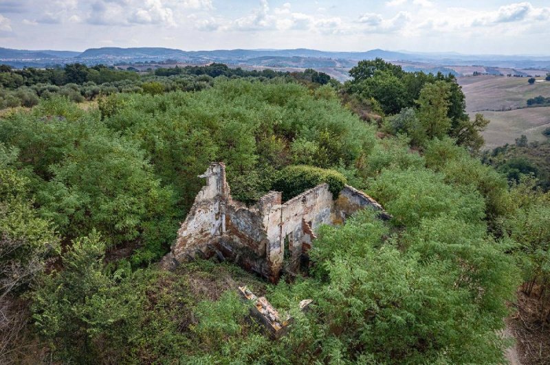 Ferme à Asciano