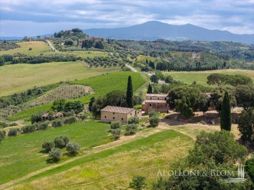 Azienda agricola a Asciano