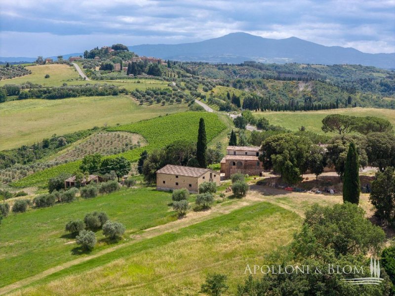 Exploitation agricole à Asciano