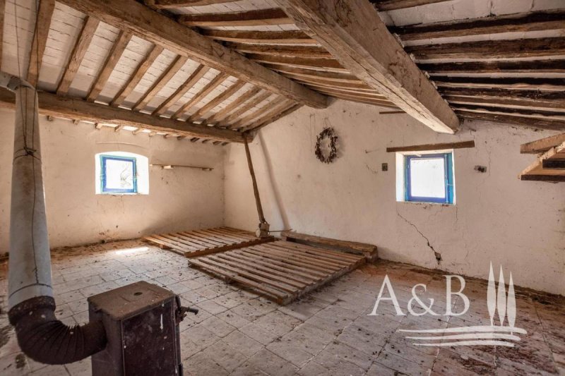 Ferme à San Casciano dei Bagni