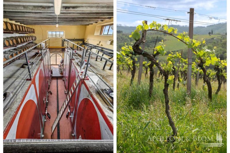 Landwirtschaftlicher Betrieb in Gaiole in Chianti