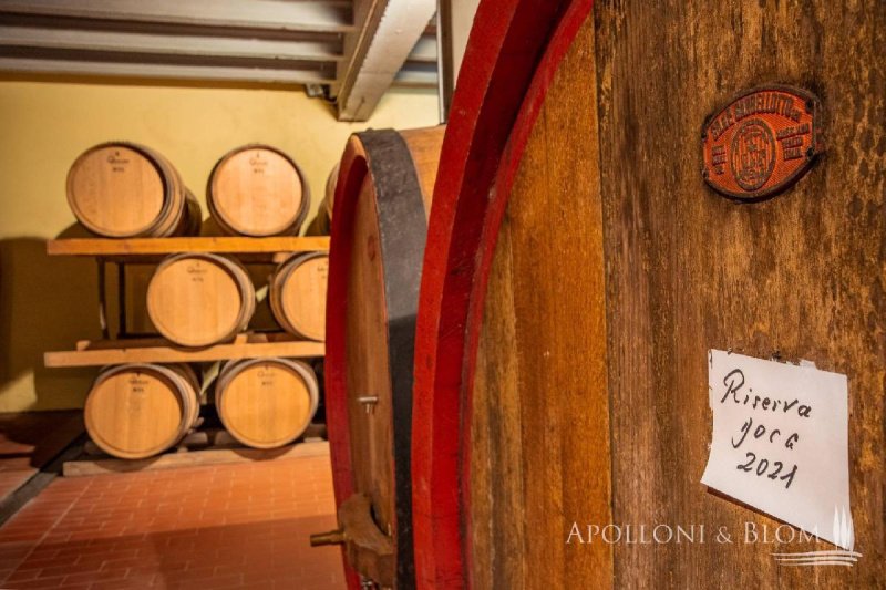 Farm in Gaiole in Chianti