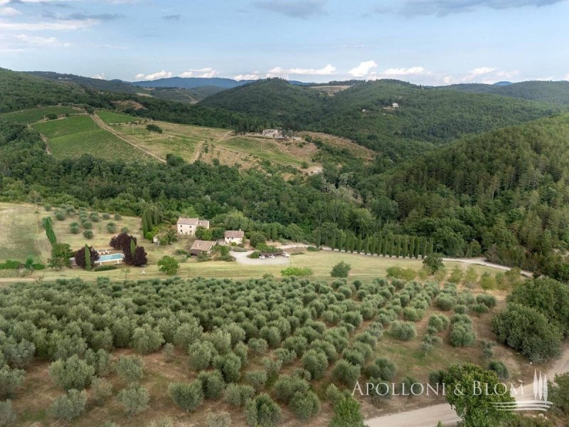 Farmhouse in Radda in Chianti