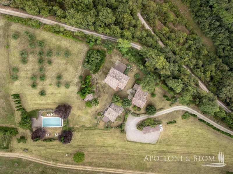 Farmhouse in Radda in Chianti