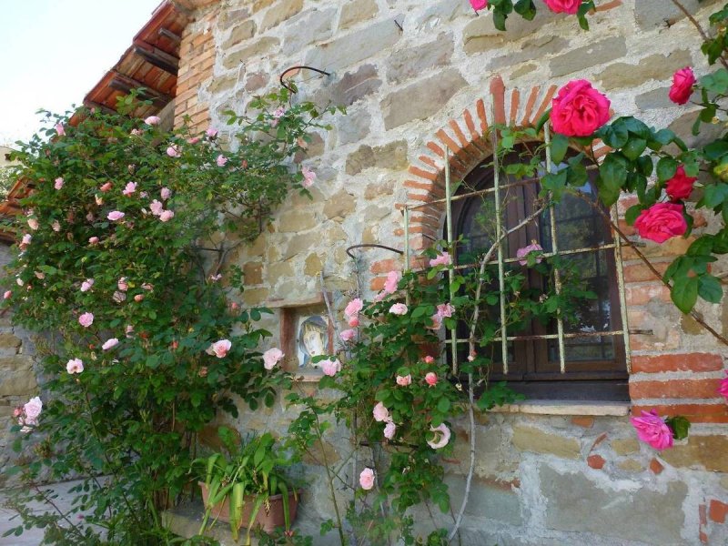 Lantställe i Tuoro sul Trasimeno