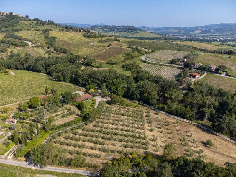 Lantställe i Orvieto