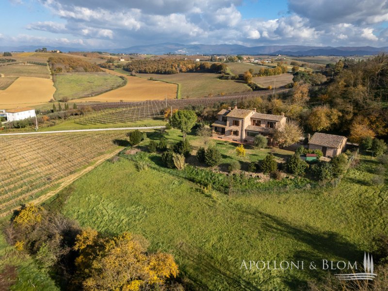 Lantställe i Montepulciano