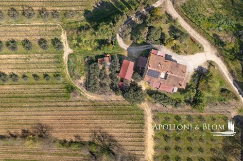 Boerenbedrijf in Montepulciano