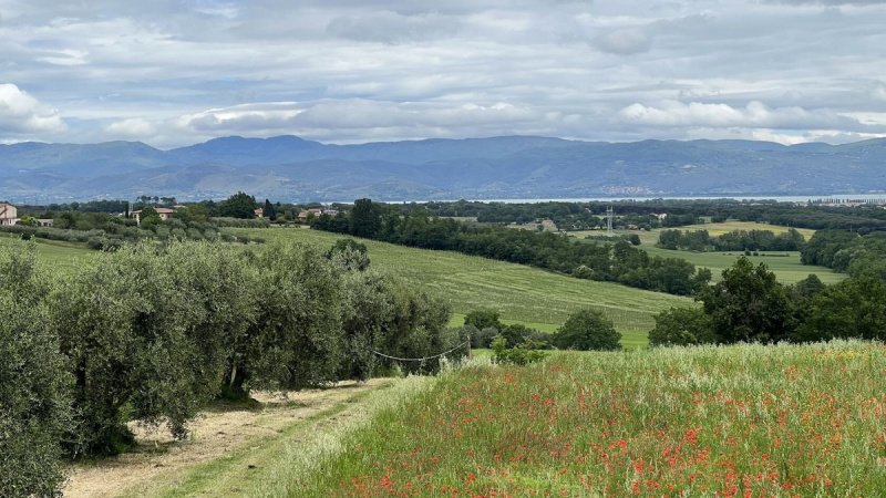 Terreno edificable en Castiglione del Lago
